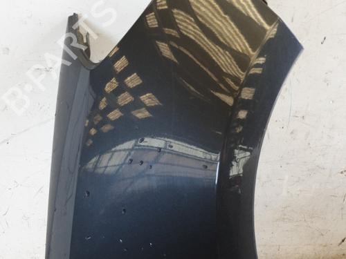 Right front fenders RENAULT CLIO III (BR0/1, CR0/1) 1.5 dCi (BR17, CR17) | BP22864666C42 