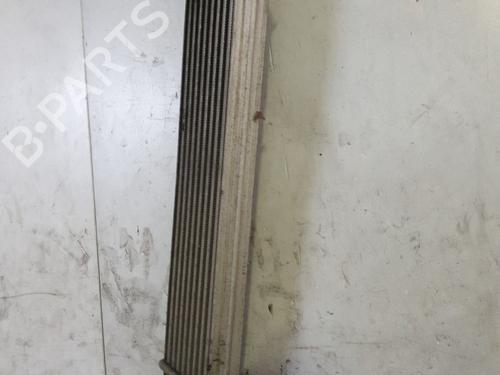 Intercooler FIAT BRAVO II (198_) 1.6 D Multijet (198AXM1B) | BP22882788M30 