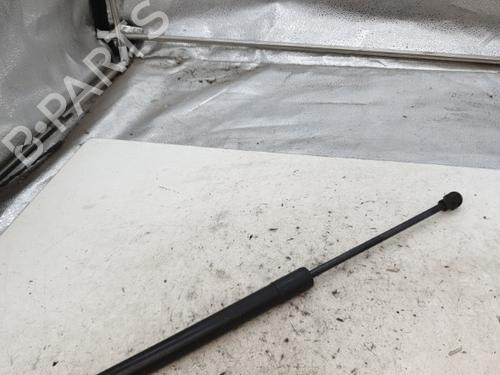 Tailgate lift support RENAULT CLIO IV (BH_) 1.5 dCi 75 | BP22866415C138 