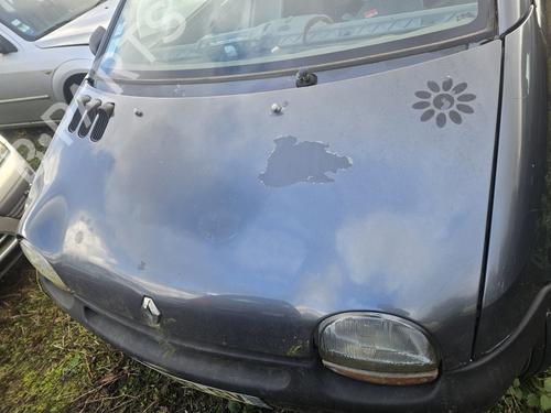 Capot RENAULT TWINGO I (C06_) 1.2 (C063, C064) | BP30754716C1