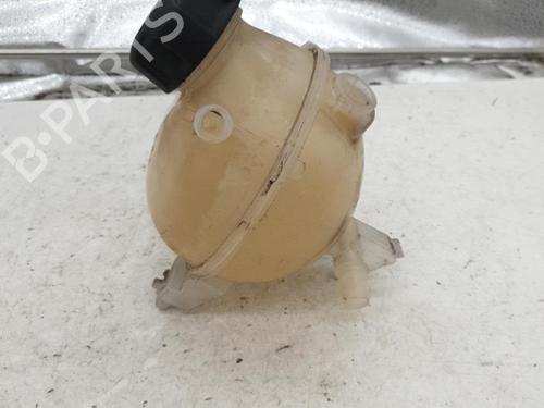 expansion-tank-citroen-ds3-sa_-2009-2010-2011-2012-2013-2014-2015-2016-24422114 main image