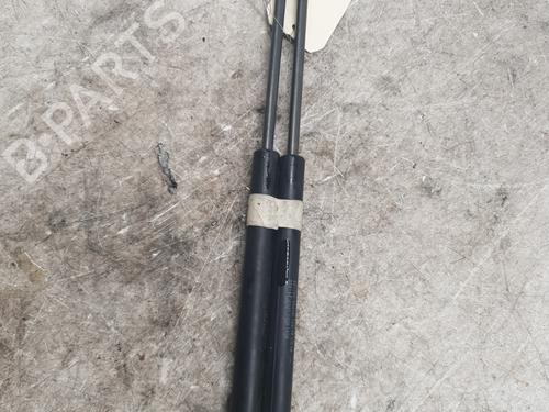 Used Tailgate lift support FIAT PANDA (312_, 319_) 1.2 (312PXA1A) (69 hp) 30538348