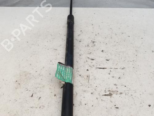 Hood lift support RENAULT MEGANE III Hatchback (BZ0/1_, B3_) 1.5 dCi | BP24485934C139 