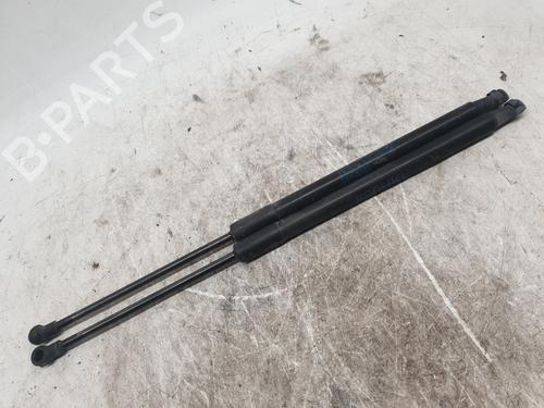 Used Tailgate lift support BMW 1 (F20) 118 d (150 hp) 25841982