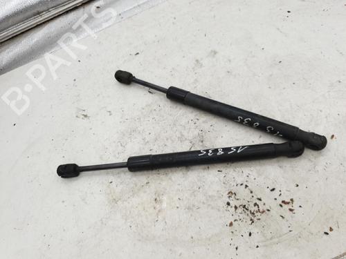 Hood lift support AUDI A4 B7 (8EC) 1.9 TDI | BP24421904C139 