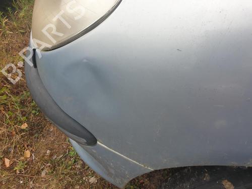 Left front fenders PEUGEOT 206 Hatchback (2A/C) 1.9 D | BP28114654C41 