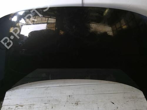 Used Hood RENAULT SCÉNIC III (JZ0/1_) 1.5 dCi (106 hp) 22882226