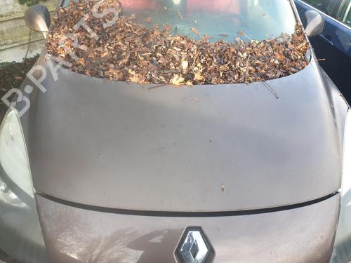 Panser RENAULT SCÉNIC III (JZ0/1_) 1.5 dCi (110 hp) 31378970