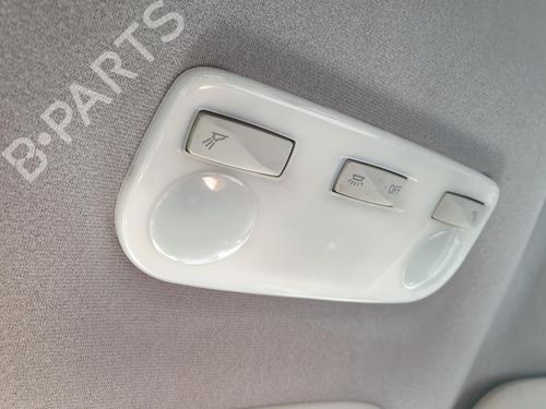 Used Interior roof light RENAULT SCÉNIC III (JZ0/1_) 1.5 dCi (110 hp) 30492283