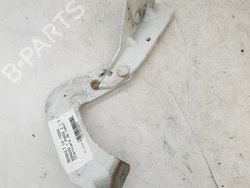 Hinge/Door check strap RENAULT KANGOO Express (FC0/1_) 1.5 dCi (FC08, FC09) | BP24421033C146 