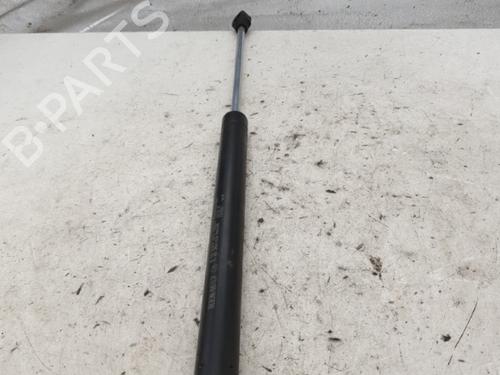 Used Tailgate lift support RENAULT TWINGO I (C06_) 1.2 (C063, C064) (55 hp) 22866633