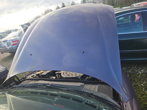 Motorhjelm OPEL VECTRA B (J96) 1.6 i 16V (F19) (100 hp) 30978041