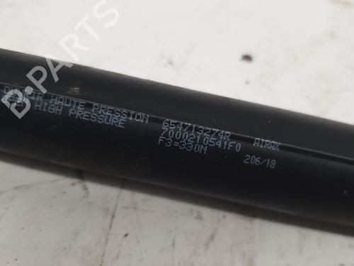Hood lift support DACIA SANDERO II 1.0 SCe 75 (B8JC, B8JD, B8NC) | BP22876937C139 