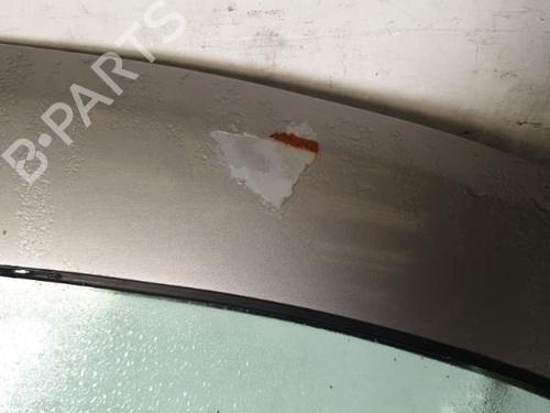 Right front door JEEP GRAND CHEROKEE II (WJ, WG) 3.1 TD 4x4 | BP22884188C3 