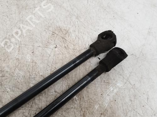 Tailgate lift support PEUGEOT 208 I (CA_, CC_) 1.4 HDi | BP31194902C138