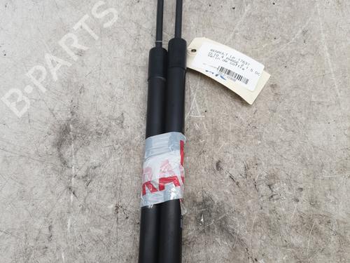 Tailgate lift support RENAULT CLIO IV (BH_) 1.5 dCi 90 | BP30100665C138