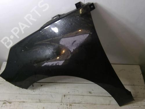 Used Left front fenders RENAULT SCÉNIC III (JZ0/1_) 1.5 dCi (106 hp) 22882183
