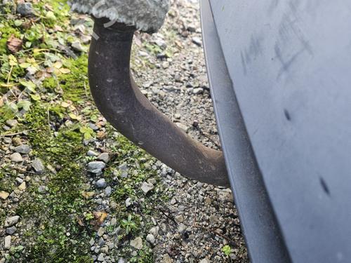 Hak holowniczy / Mechanizm RENAULT MEGANE III Coupe (DZ0/1_) 1.9 dCi (DZ0N, DZ0J, DZ1J, DZ1K) | BP30766743C141