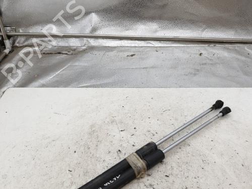 Tailgate lift support RENAULT CLIO III (BR0/1, CR0/1) 1.5 dCi (C/BR0G, C/BR1G) | BP25270369C138 