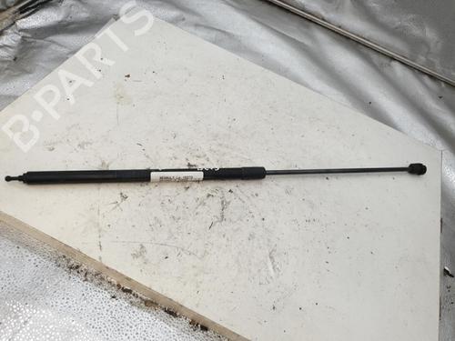 Hood lift support RENAULT MEGANE III Hatchback (BZ0/1_, B3_) 1.5 dCi (BZ09, BZ0D, BZ1W, BZ29, BZ14) | BP24533520C139 