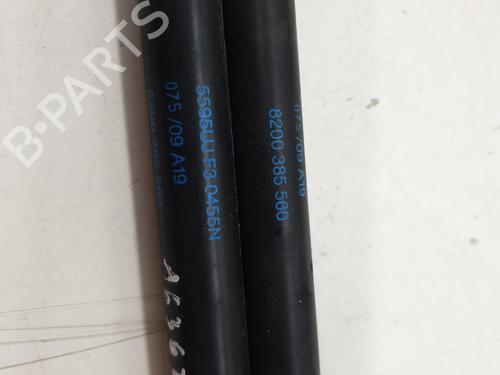 tailgate-lift-support-renault-twingo-ii-cn0_-2007-23436178 main image