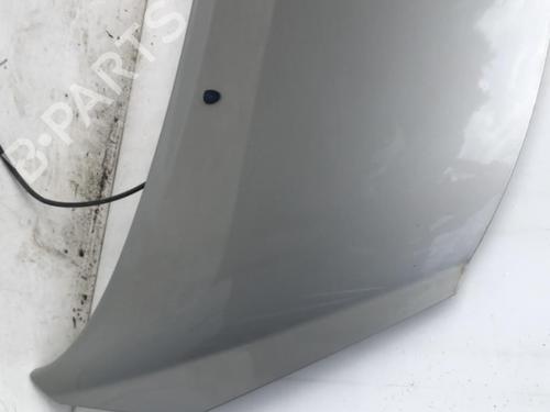 Used Hood PEUGEOT 207 (WA_, WC_) 1.6 HDi (90 hp) 22880204