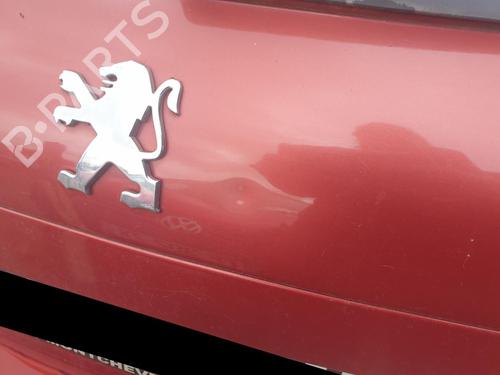 Tailgate PEUGEOT 207 (WA_, WC_) 1.6 HDi | BP29167377C6 