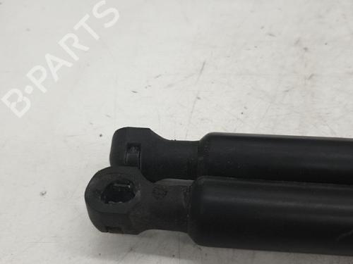 Tailgate lift support RENAULT CLIO IV (BH_) 1.5 dCi 75 | BP24422181C138 