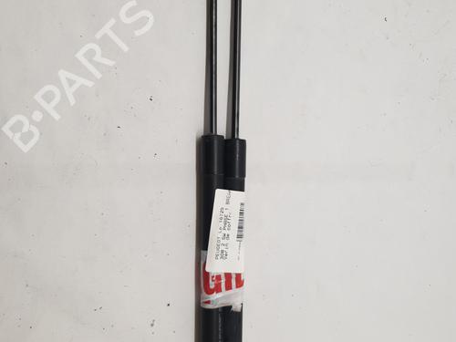 Tailgate lift support PEUGEOT 308 SW II (LC_, LJ_, LR_, LX_, L4_) 1.6 BlueHDi 100 | BP22869697C138 