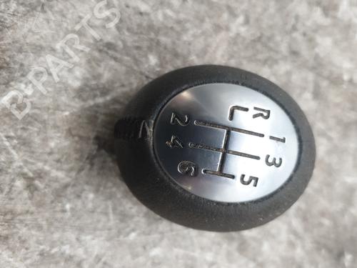 Gear lever RENAULT SCÉNIC III (JZ0/1_) 1.9 dCi (JZ0J, JZ1J, JZ1K, JZ1S) | BP29446170M90 