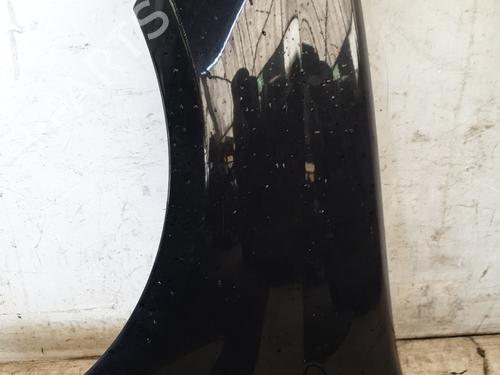 Left front fenders FIAT GRANDE PUNTO (199_) 1.2 | BP25989670C41 