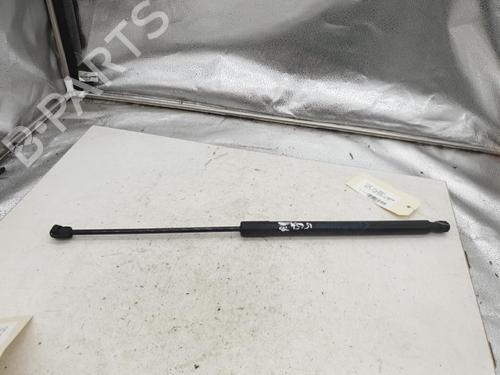 Tailgate lift support FIAT TIPO Estate (356_, 357_) 1.6 D (356WXG1B) | BP23436011C138