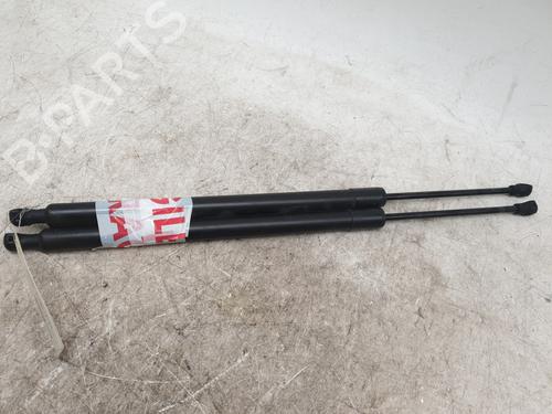 Tailgate lift support RENAULT MODUS / GRAND MODUS (F/JP0_) 1.2 (JP0C, JP0K, FP0C, FP0K, FP0P, JP0P, JP0T) | BP29916471C138 