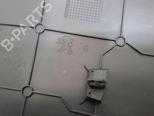 Used Middle console Middle console PEUGEOT 2008 II (UD_, US_, UY_, UJ_, UR_, UC_) 1.5 BlueHDI 110 (UDYHSK) (110 hp) 22876294 22876294