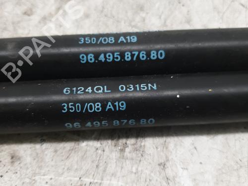 tailgate-lift-support-peugeot-1007-km_-2005-23832487 main image