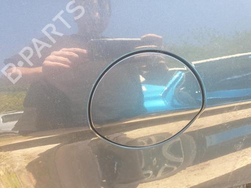 Fuel flap CITROËN C4 II (NC_) 2.0 HDi / BlueHDi 150 | BP29738376C131 