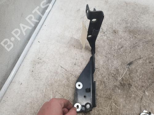 Hinge/Door check strap CITROËN C3 Pluriel (HB_) 1.6 | BP28293219C146 