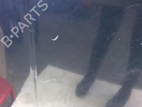 Used Hood Hood CITROËN C6 (TD_) 2.7 HDi (204 hp) 22880465 22880465