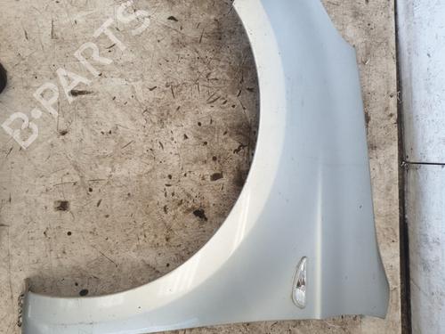 Left front fenders HYUNDAI i20 I (PB, PBT) 1.4 CRDi | BP29839995C41