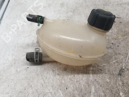Used Expansion tank DACIA DUSTER (HS_) 1.5 dCi (109 hp) 29865965