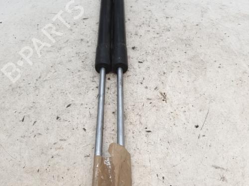 Tailgate lift support RENAULT CLIO III (BR0/1, CR0/1) 1.5 dCi (C/BR0G, C/BR1G) | BP25843370C138 
