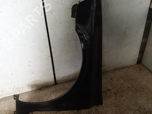 Left front fenders RENAULT LAGUNA II (BG0/1_) 1.9 dCi (BG1A, BG1W, BG0G) | BP22883685C41 
