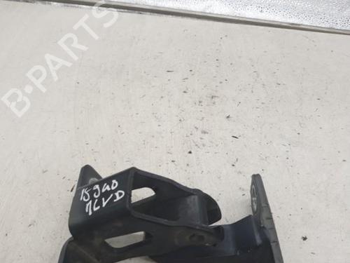 Hinge/Door check strap DACIA LOGAN MCV (KS_) 1.5 dCi (KS0W) | BP24422760C146 