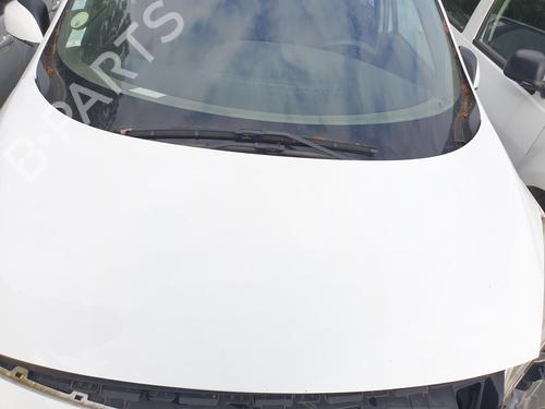 Hood RENAULT SCÉNIC III (JZ0/1_) 1.5 dCi (JZ02, JZ0R) | BP25738418C1