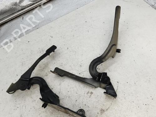 hingedoor-check-strap-citroen-c3-picasso-sh_-2008-23832347 main image