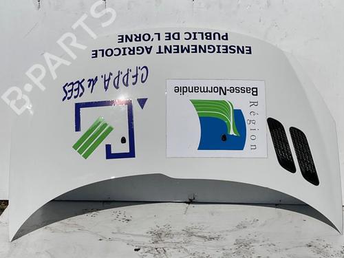 Motorhjelm PEUGEOT 206+ (2L_, 2M_) 1.4 HDi eco 70 (68 hp) 22873484