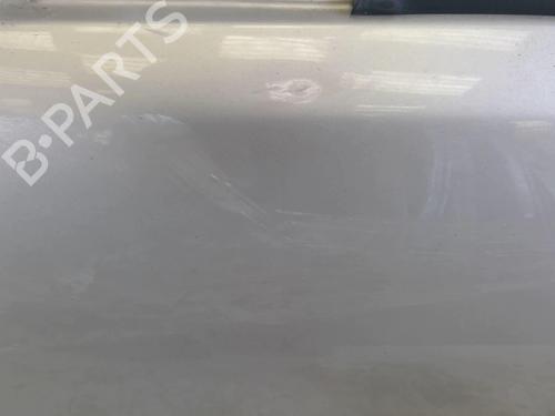 Left front door RENAULT MEGANE II Coupé-Cabriolet (EM0/1_) 1.9 dCi | BP22868159C2 