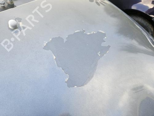 Capot RENAULT TWINGO I (C06_) 1.2 (C063, C064) | BP30754716C1