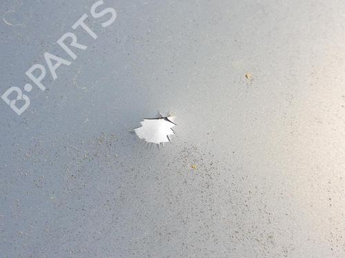 Hood RENAULT VEL SATIS (BJ0_) 2.0 16V Turbo (BJ0K) | BP26892895C1 
