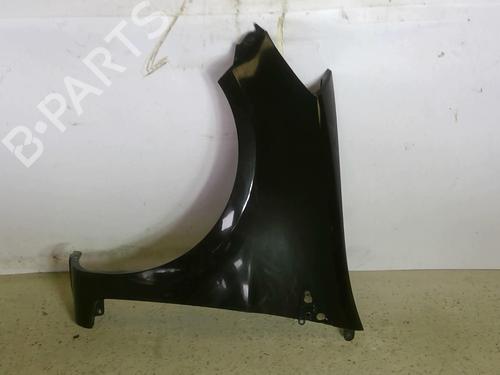 Kotflügel links vorne für RENAULT CLIO III (BR0/1, CR0/1) 1.2 16V (BR02, BR0J, BR11, CR02, CR0J, CR11) (75 hp) 30046221